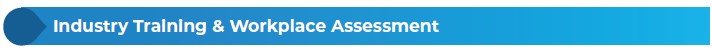 industry training and workplace assessment