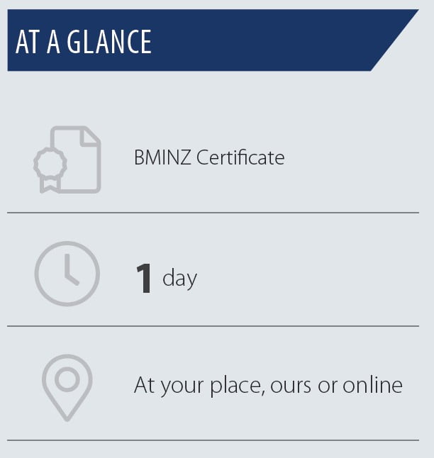 at a glance disc for leaders